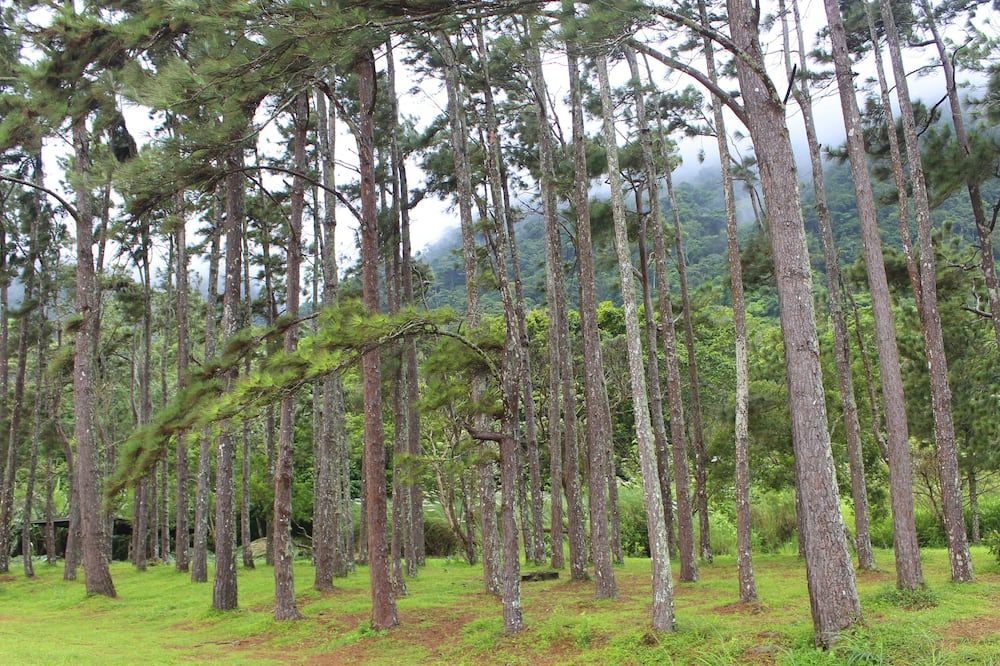 Outdoors view