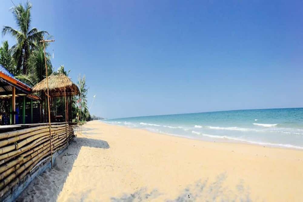 Beach Photo