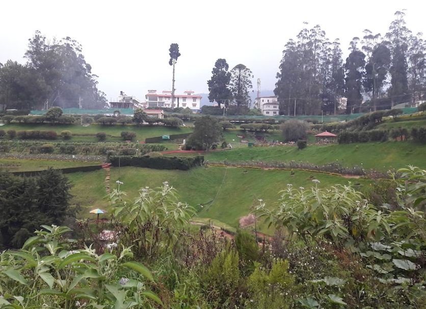 Outdoors view Photo