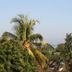 Outdoors view