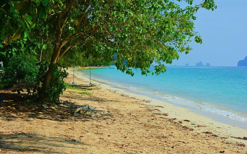 Beach Photo