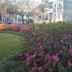 Outdoors view