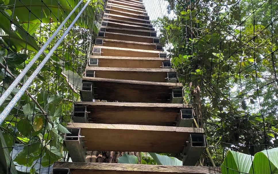 Stairs Photo