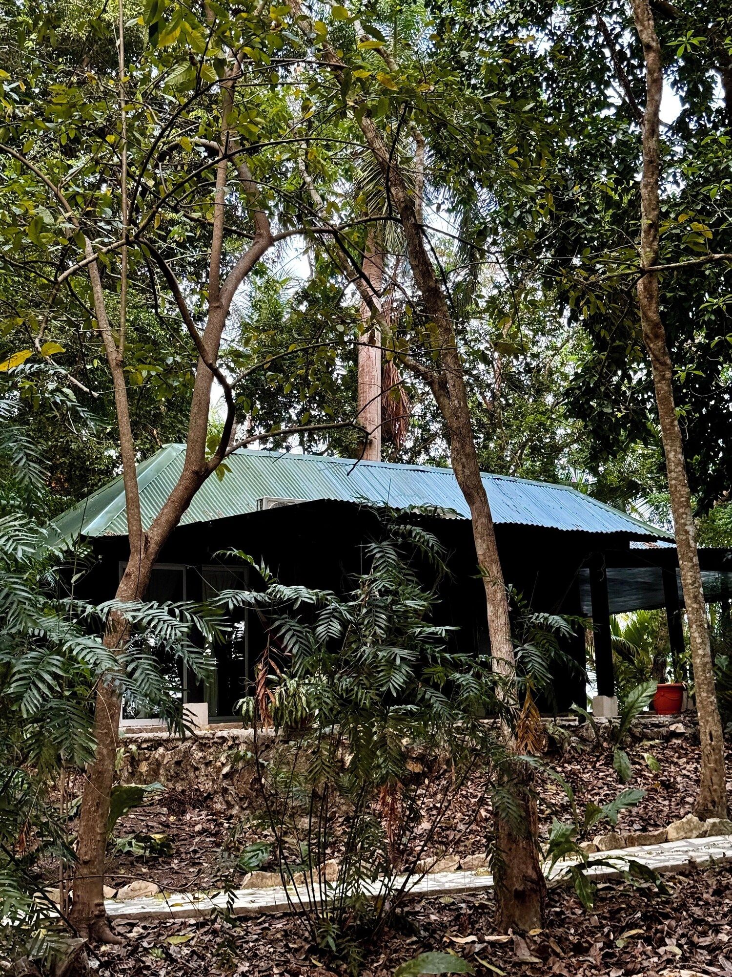 Outdoors view