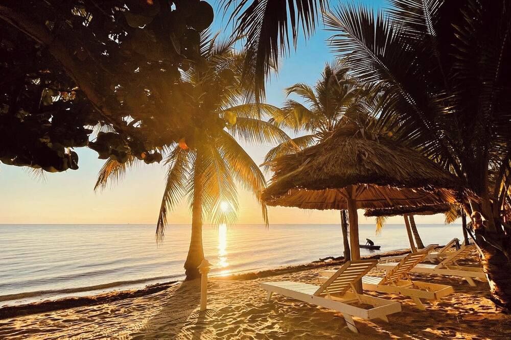 Beach Photo