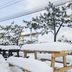 Outdoors view
