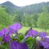 Outdoors view
