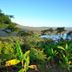 Outdoors view