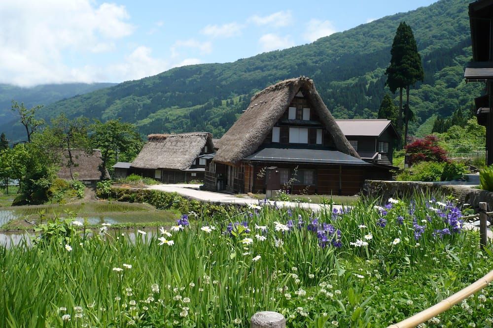 Outdoors view Photo