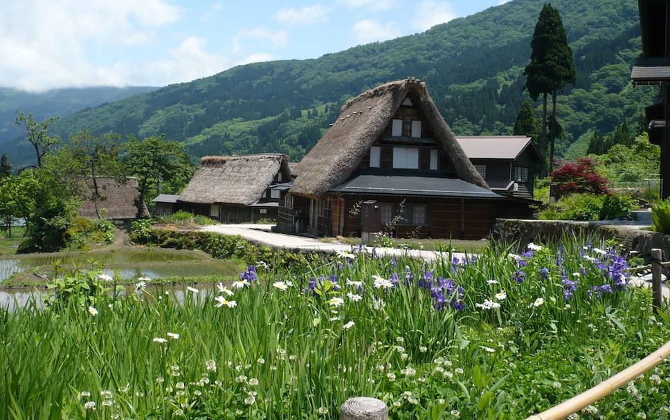 Outdoors view Photo