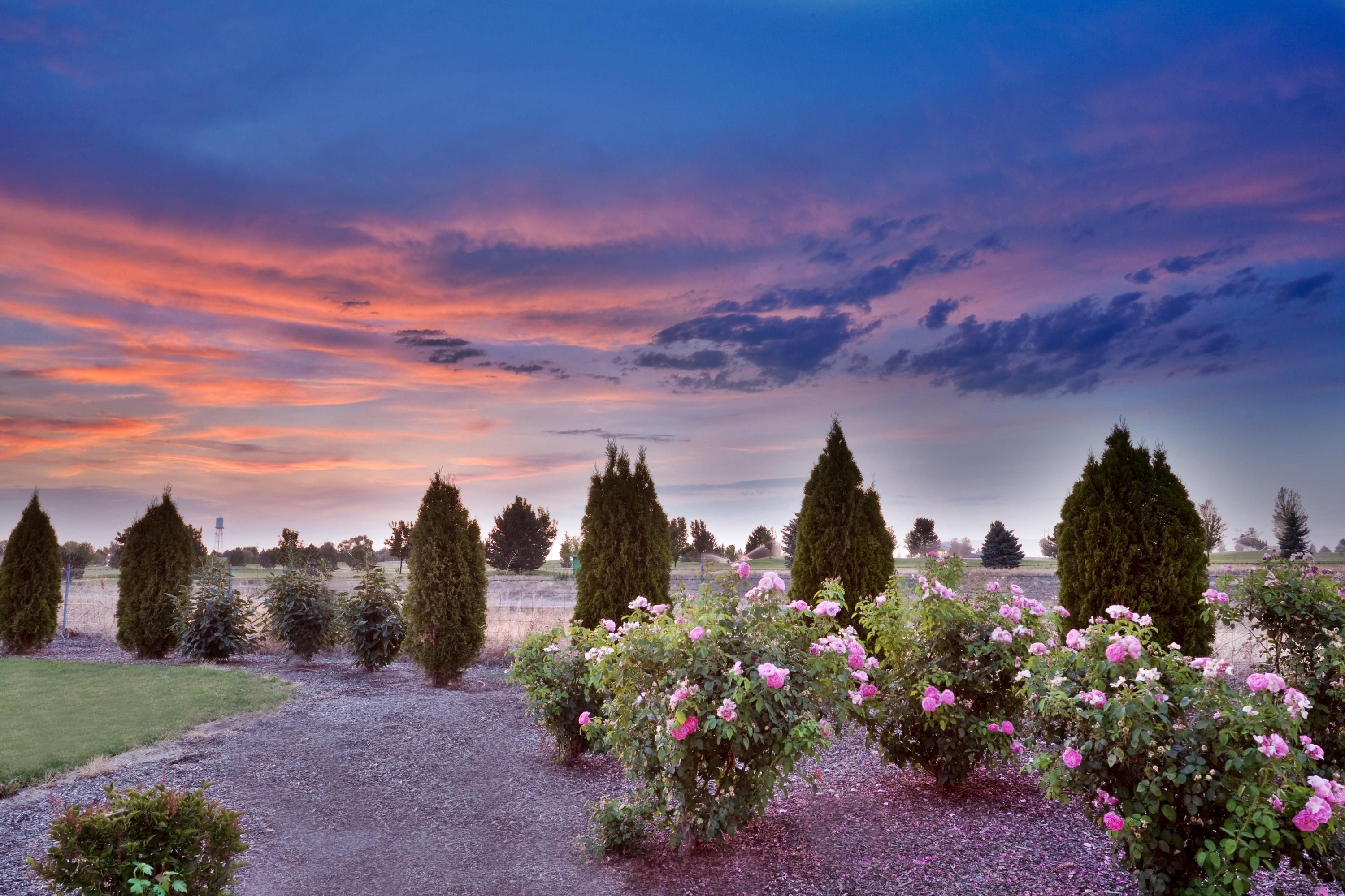 Outdoors view