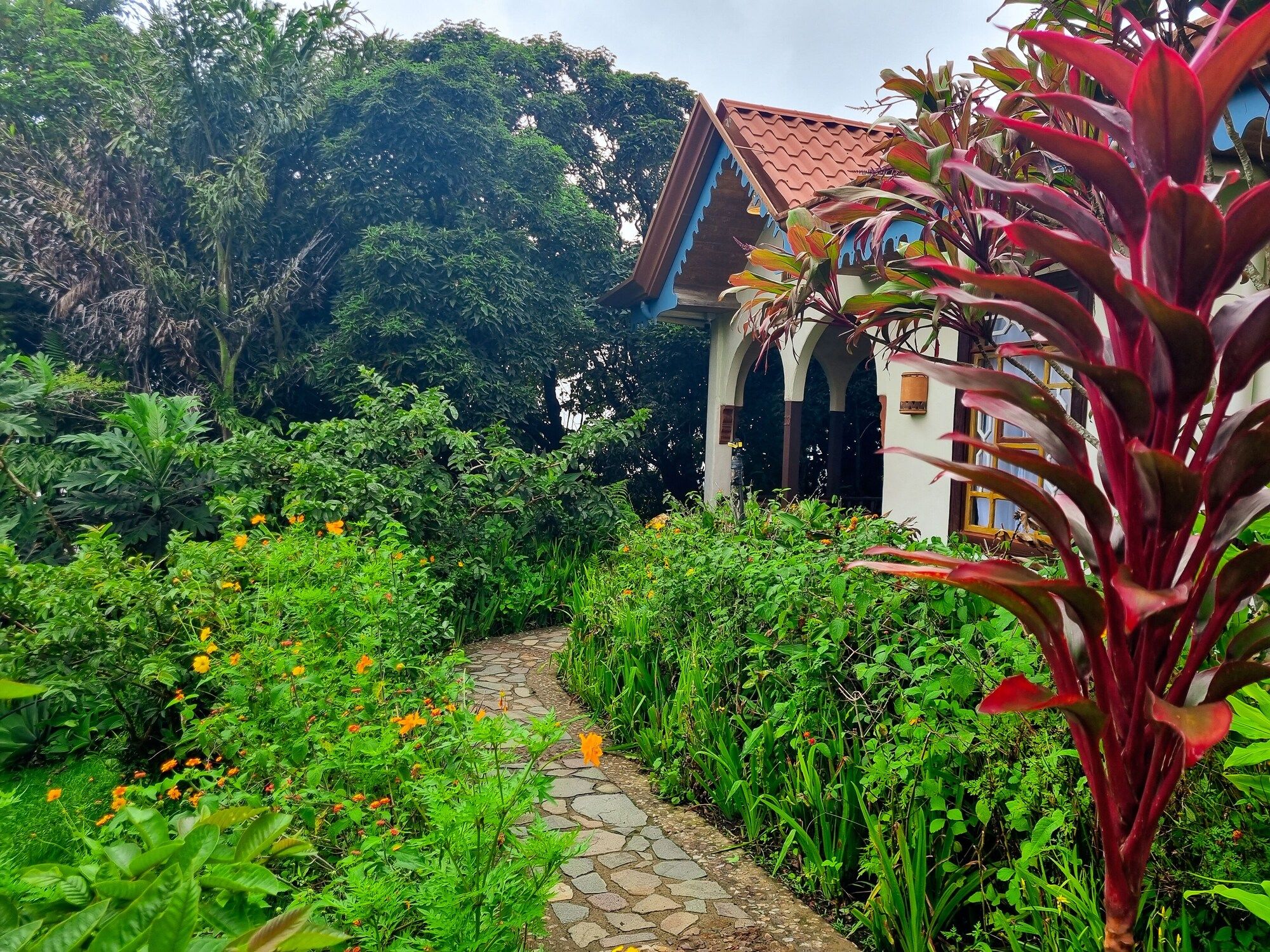 Outdoors view