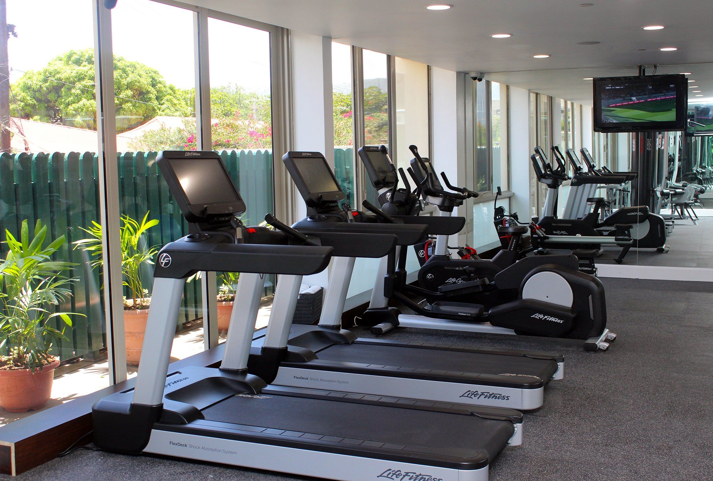 Gym