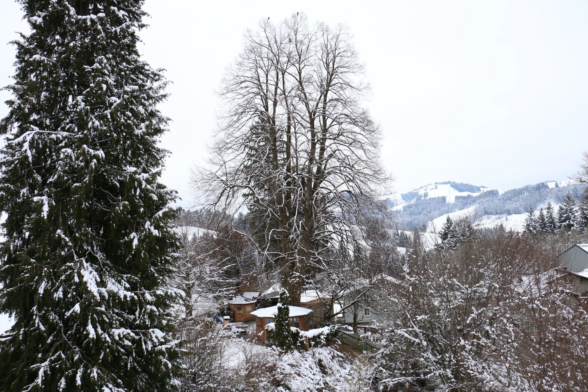 Outdoors view