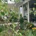 Outdoors view