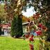 Outdoors view