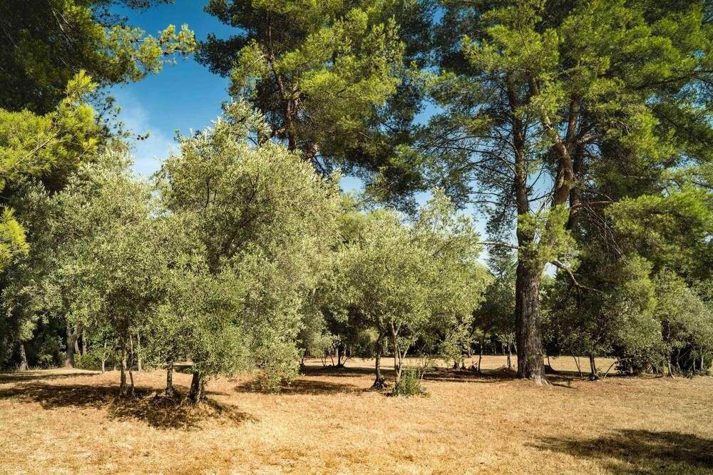 Outdoors view