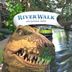 Attractions