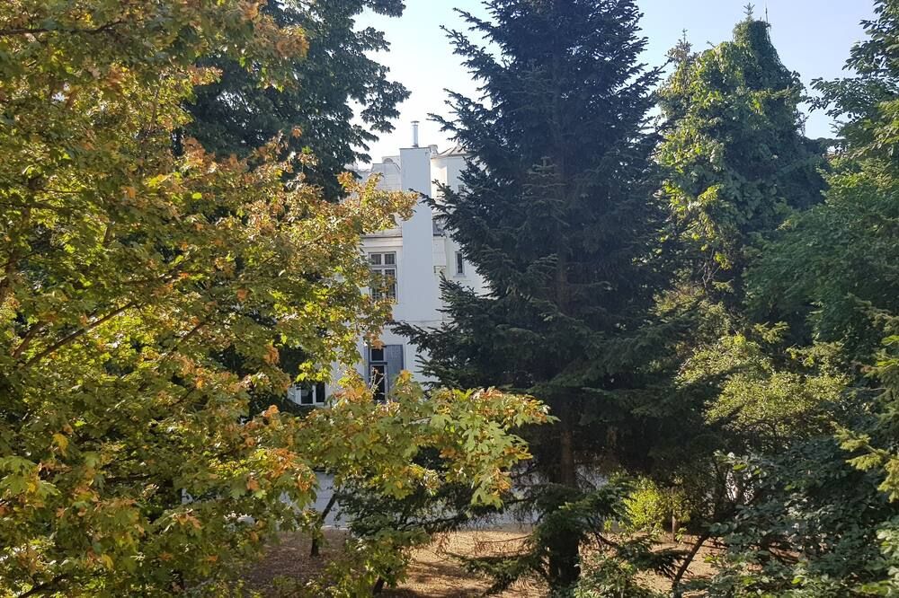 Outdoors view