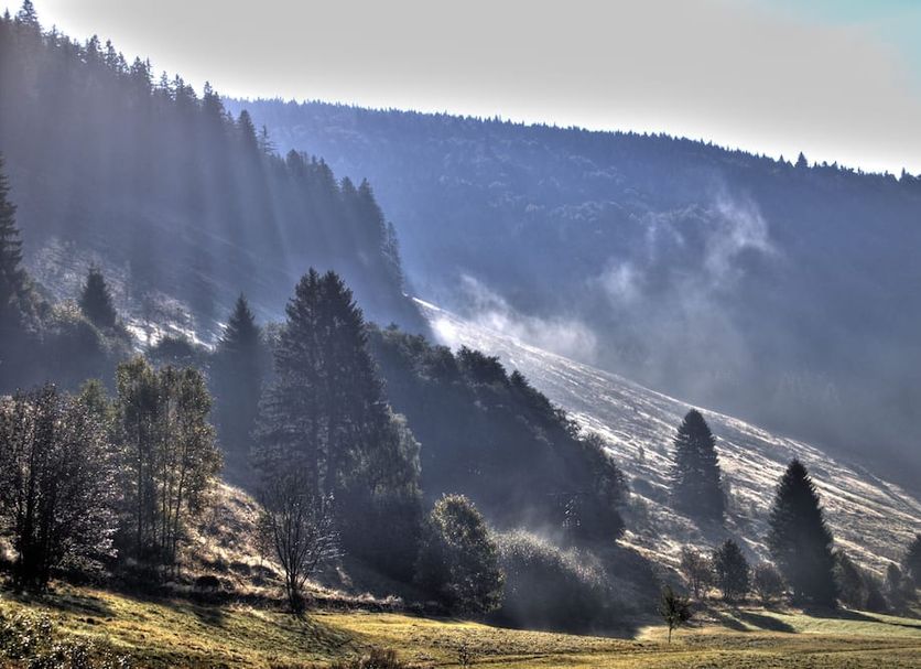 Outdoors view Photo