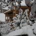 Outdoors view