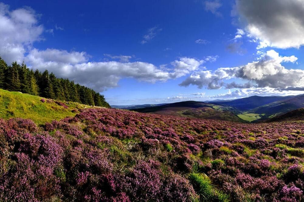 Outdoors view
