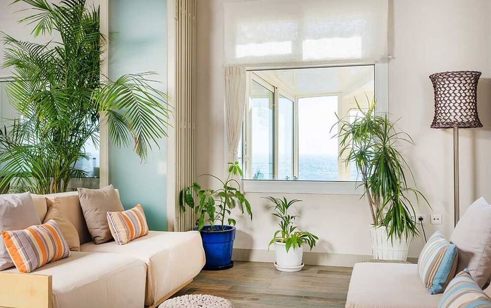 Living room Photo