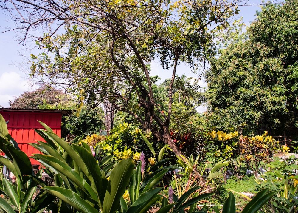 Outdoors view