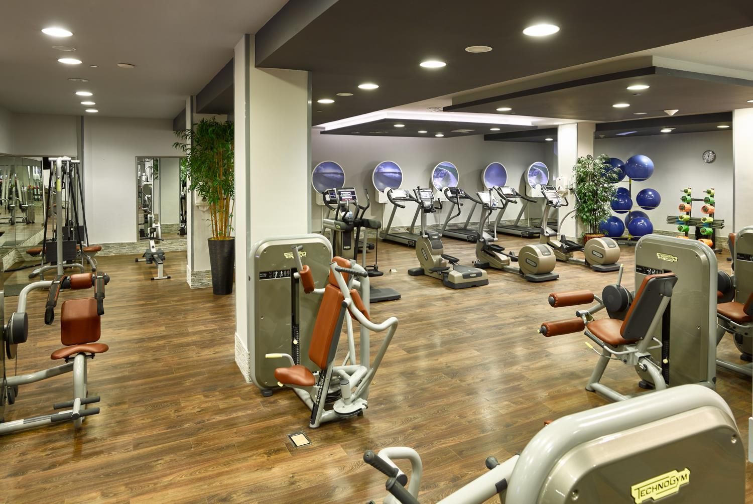 Gym
