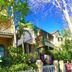 Outdoors view