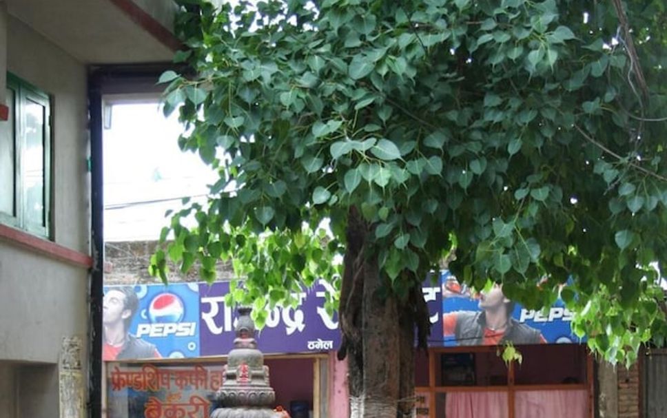 Outdoors view Photo