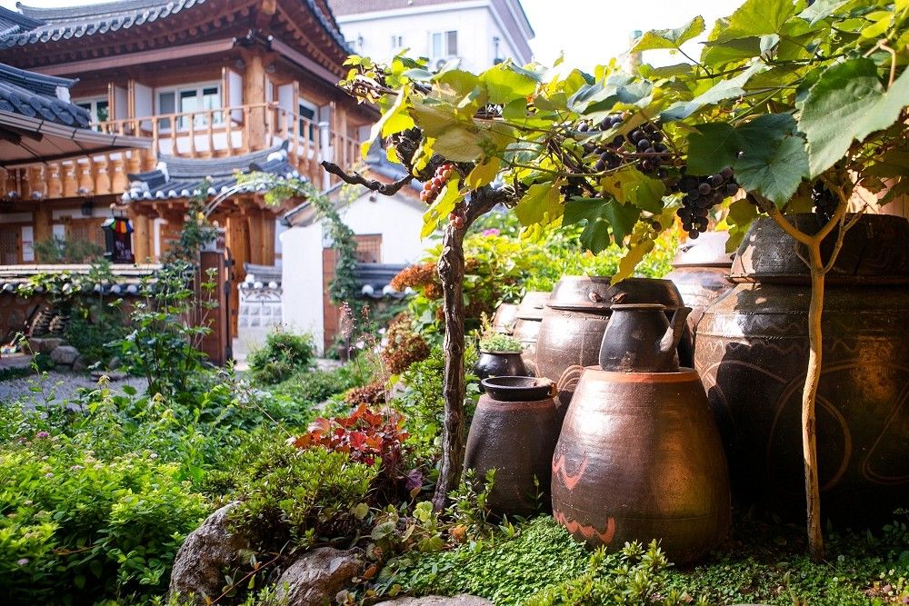 Outdoors view