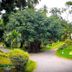 Outdoors view