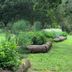 Outdoors view