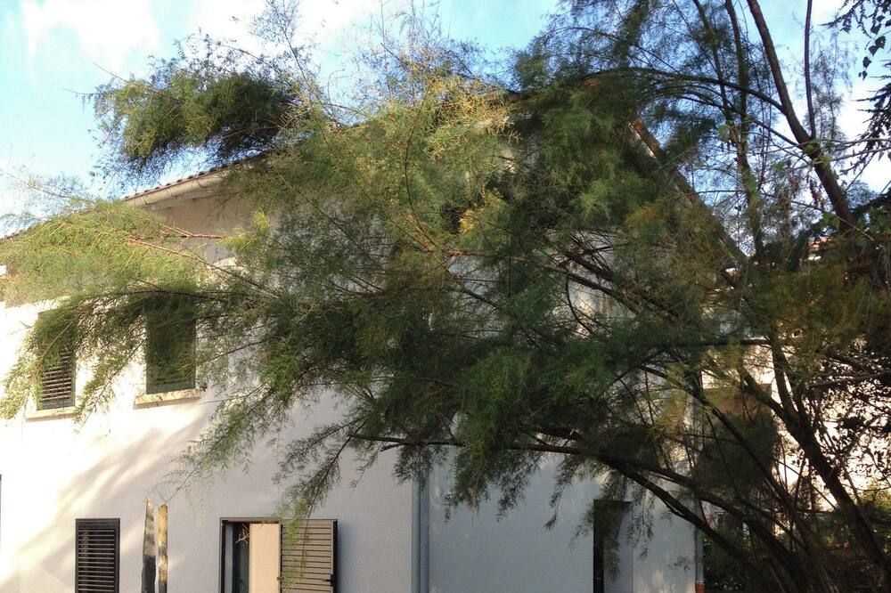 Outdoors view