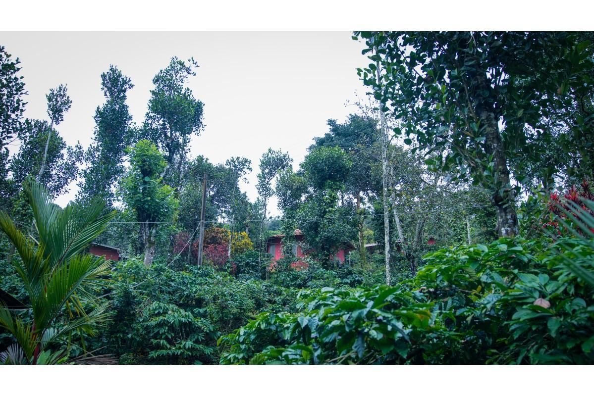 Outdoors view