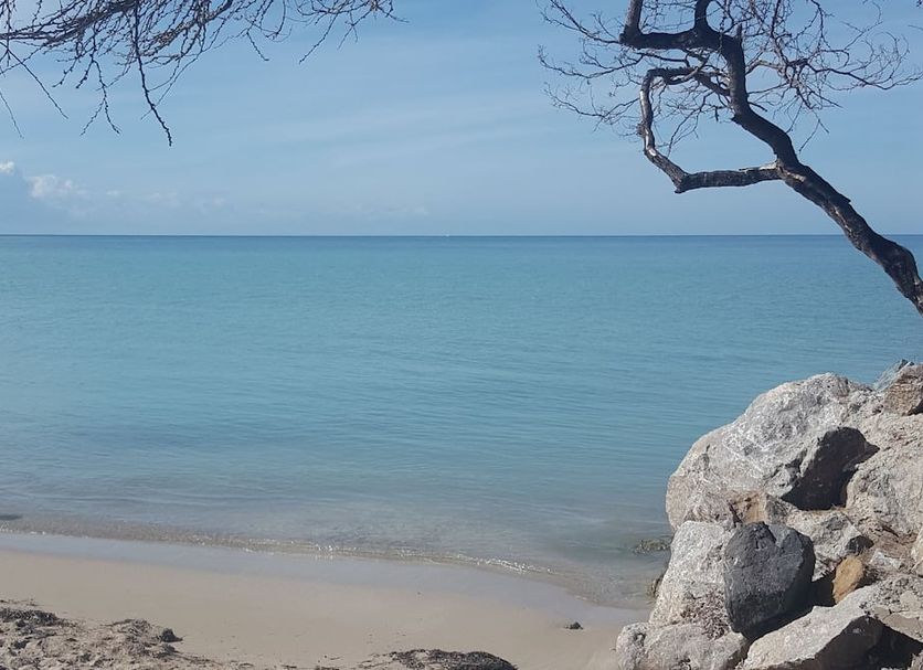 Beach Photo