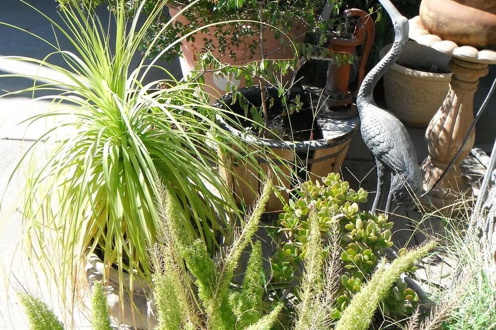Outdoors view