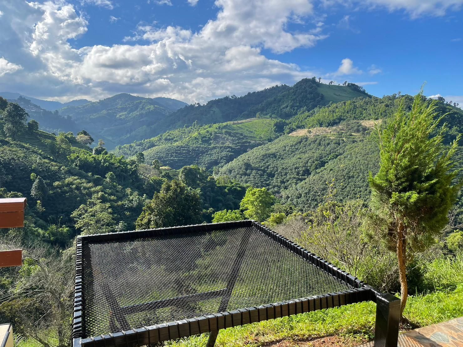 Outdoors view