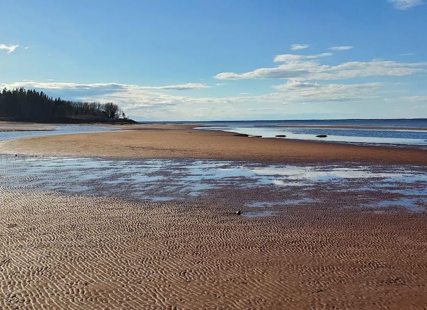 Beach Photo