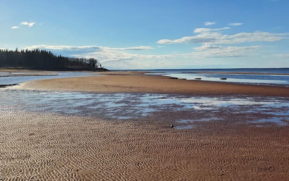 Beach Photo