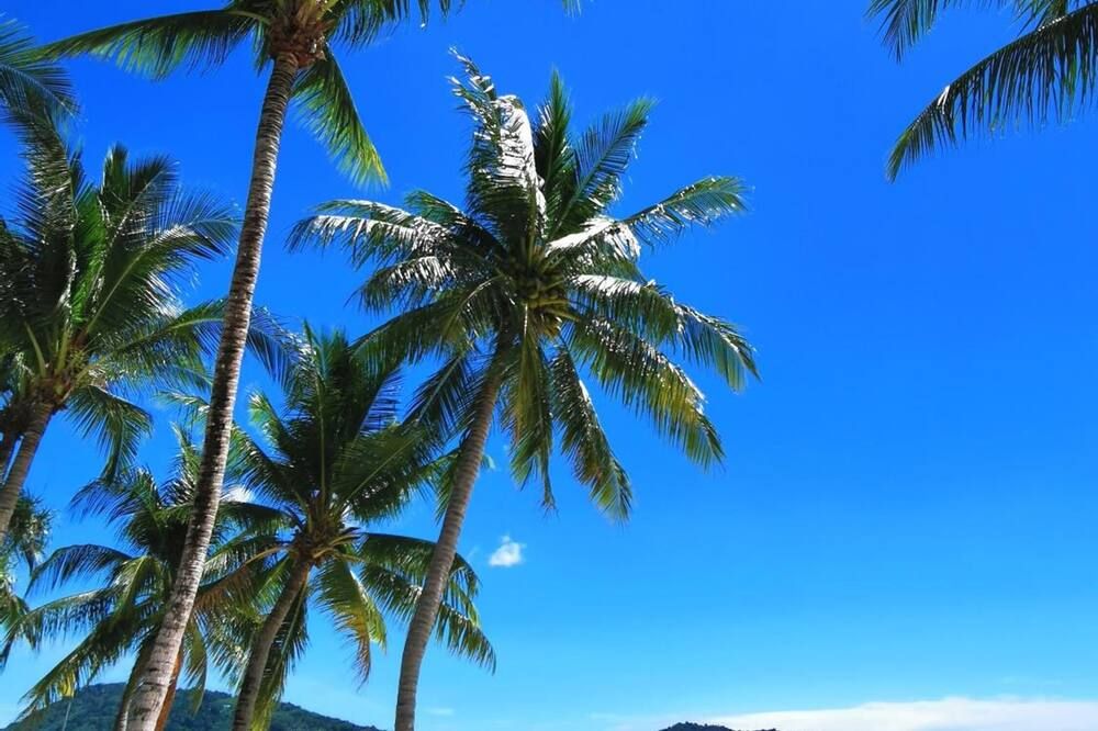 Outdoors view