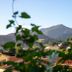 Outdoors view
