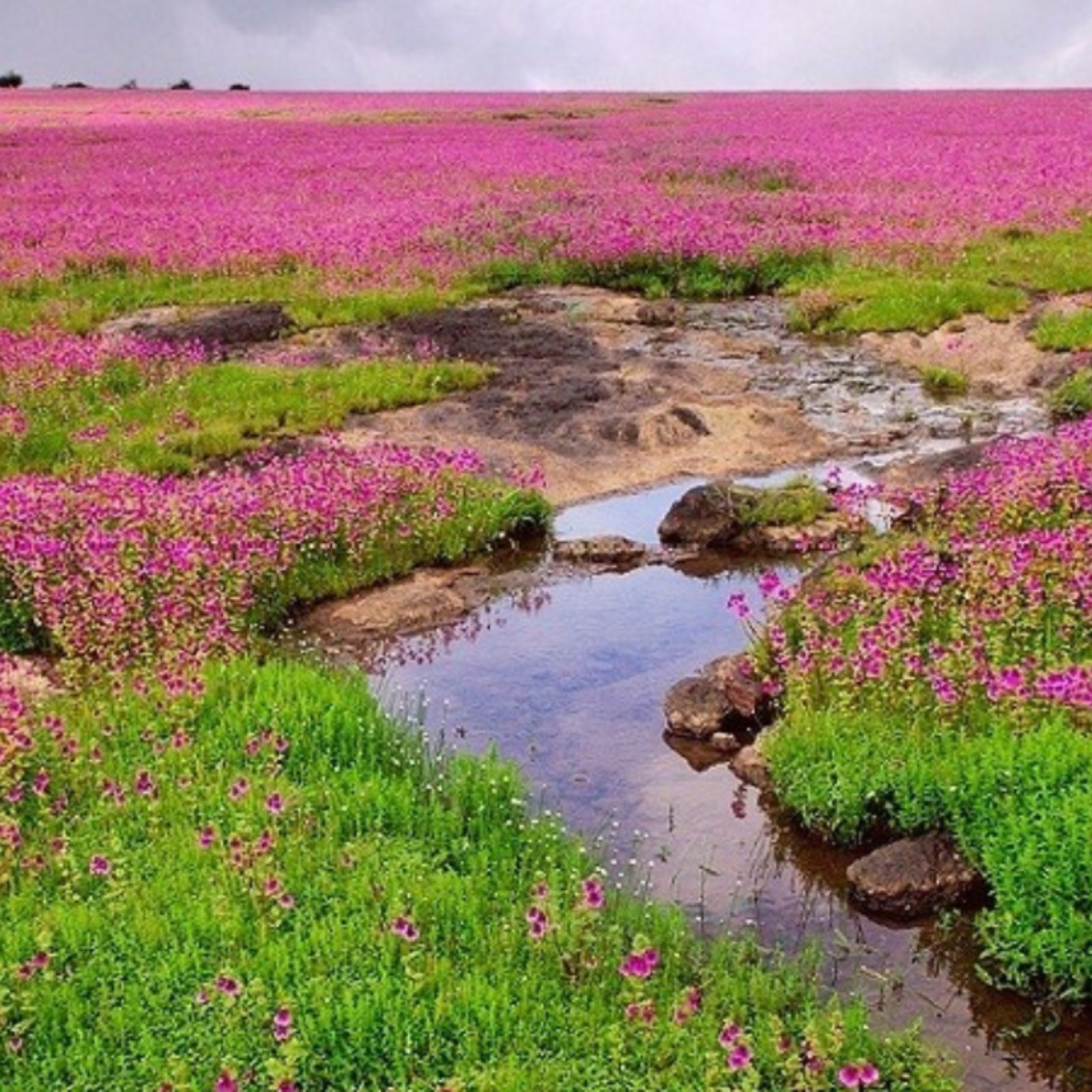 Outdoors view