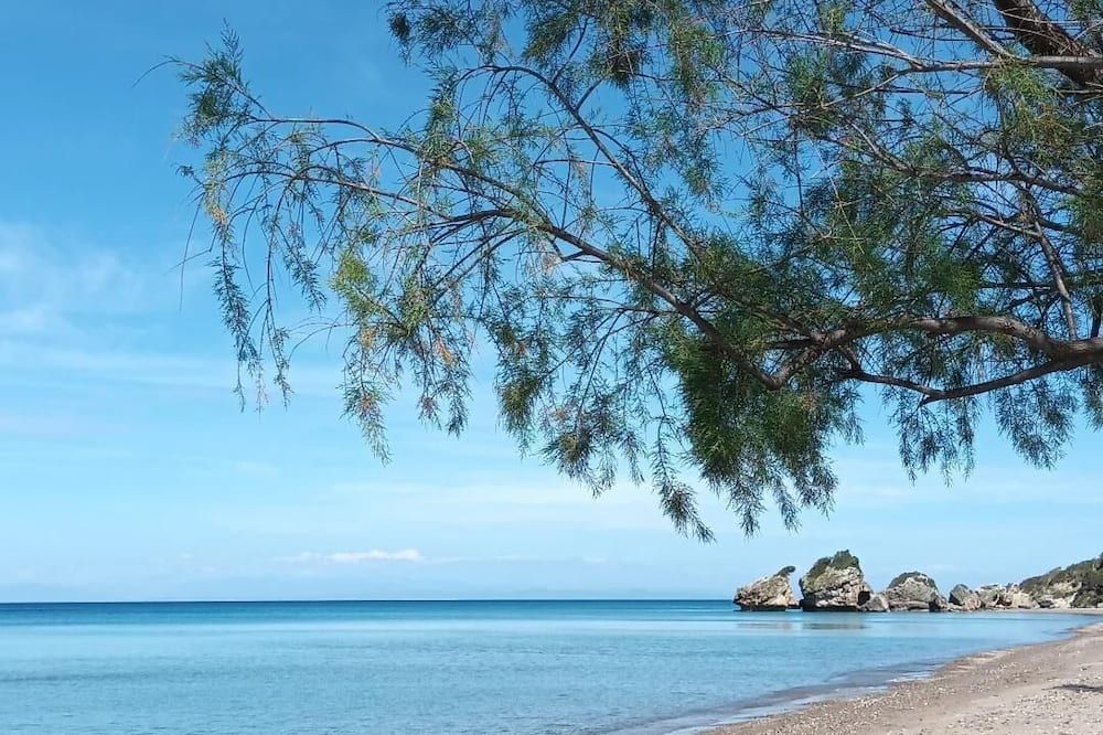 Beach Photo