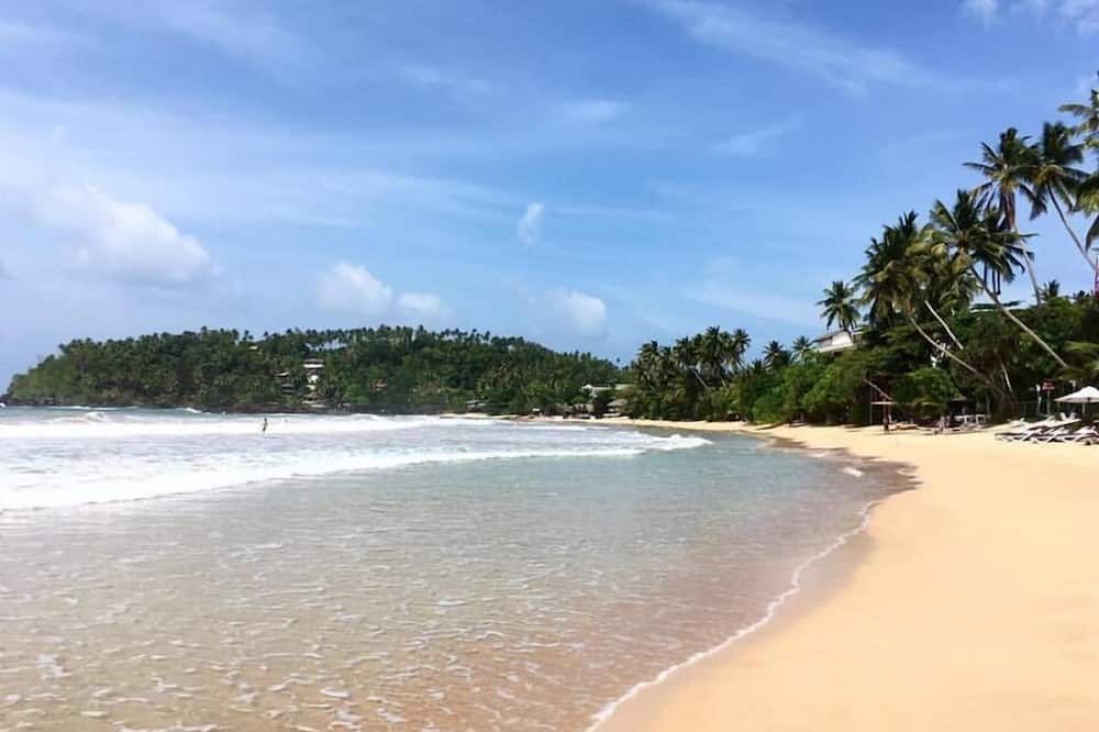 Beach Photo