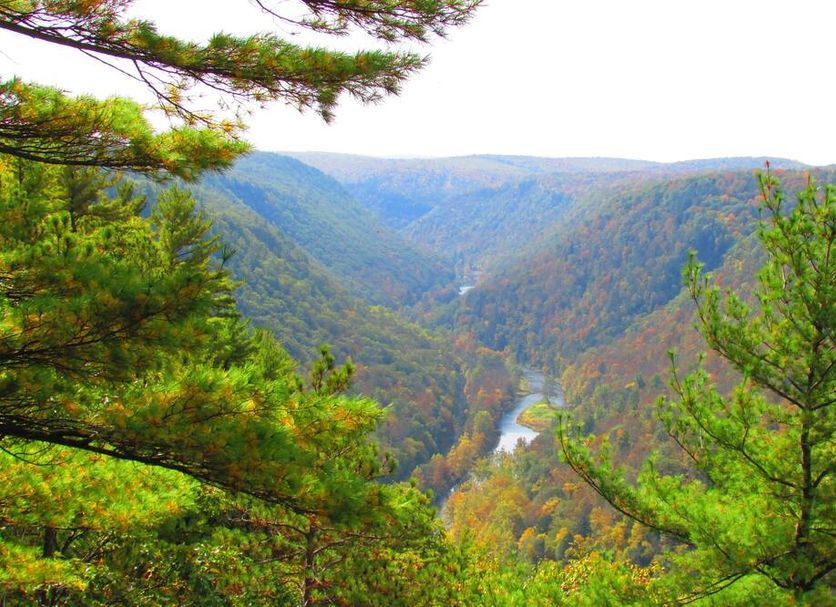 Outdoors view Photo