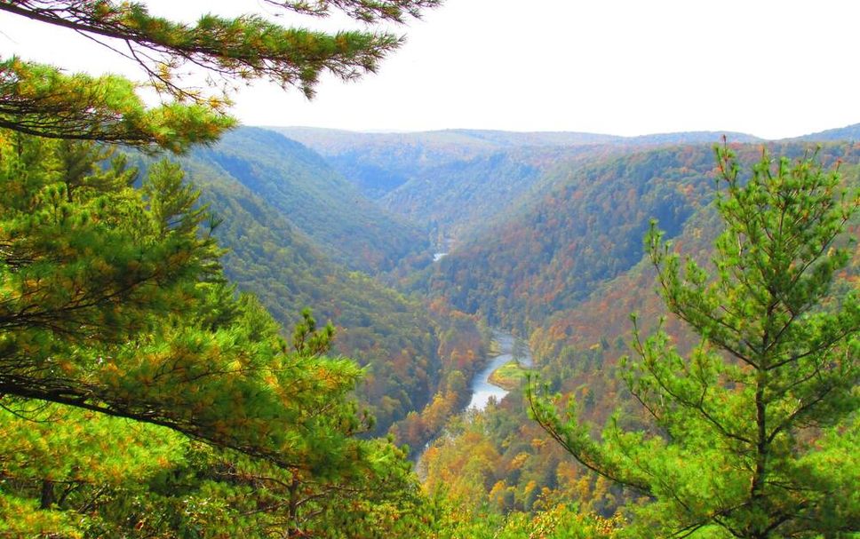 Outdoors view Photo