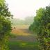 Outdoors view