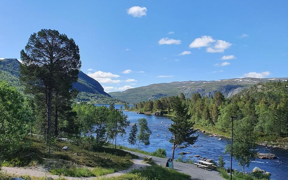 Outdoors view Photo